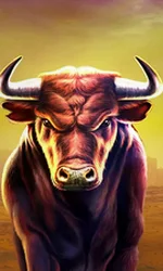 Black Bull